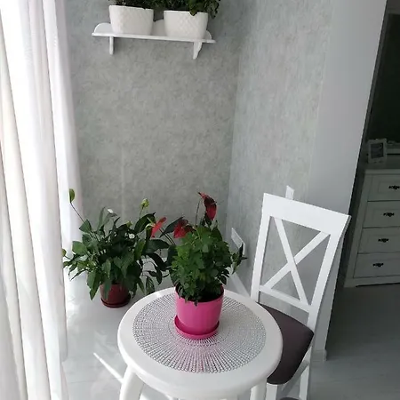 Магнолия Apartment *