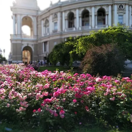 Магнолия * Odesa