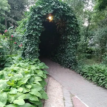 Магнолия * Odessa