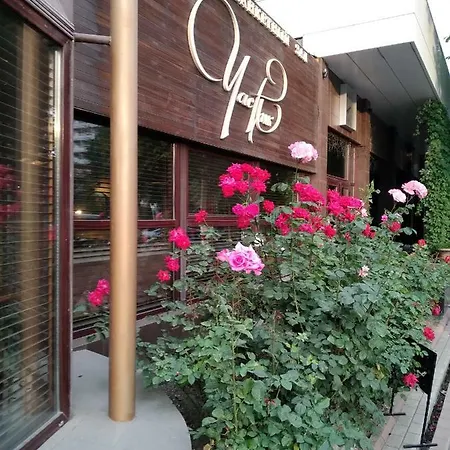 Магнолия Odessa